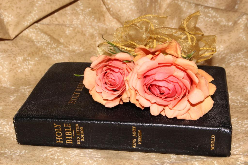 Photo Courtesy of Morgue File