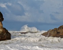 morgueFile IMG_6369a 