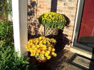 FLOWERS_FROM_HEARNS__RICHAR