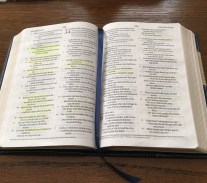 bible-psalms
